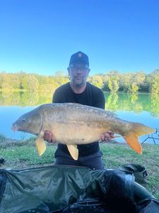 Mirror Carp
