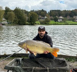 Common Carp