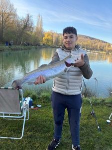Rainbow Trout