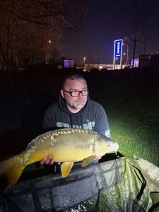 Mirror Carp