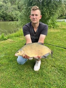 Common Bream