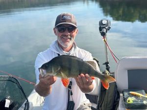 European Perch