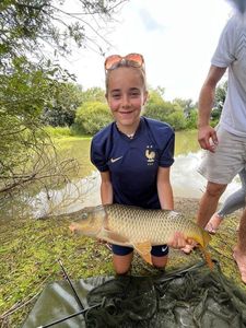 Common Carp