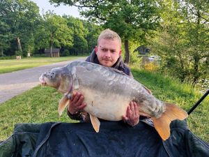 Mirror Carp