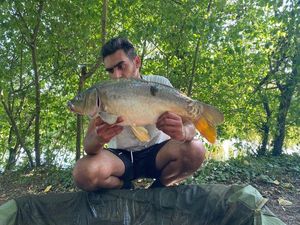 Mirror Carp
