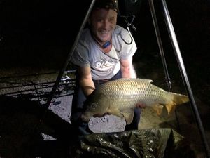 Common Carp