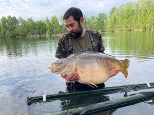 Mirror Carp