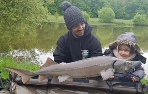 Siberian Sturgeon