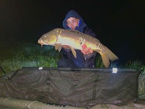 Mirror Carp