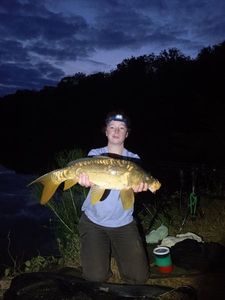 Mirror Carp