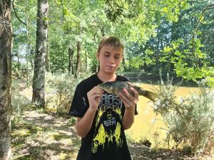 Common Carp