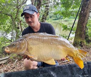 Mirror Carp