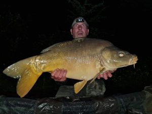 Mirror Carp