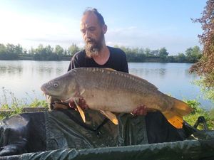 Mirror Carp