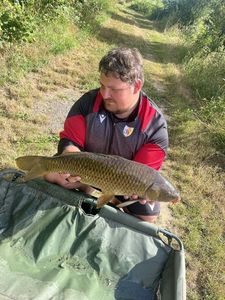 Common Carp