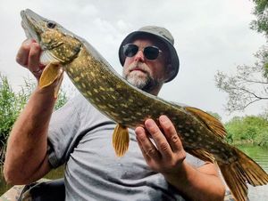 Northern Pike