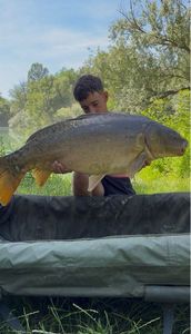 Leather Carp