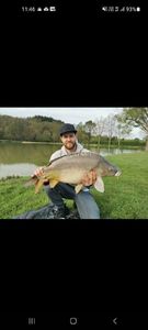 Mirror Carp