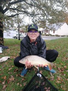 Common Carp