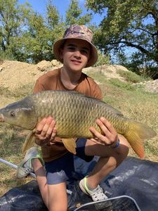 Common Carp