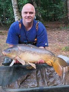 Mirror Carp
