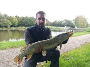 Northern Pike