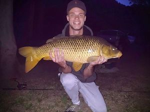 Common Carp