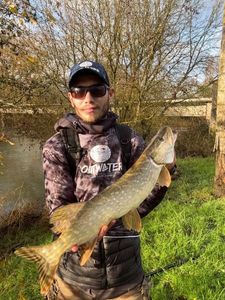 Northern Pike