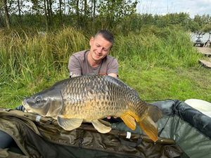 Common Carp
