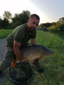 Mirror Carp