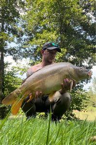 Mirror Carp