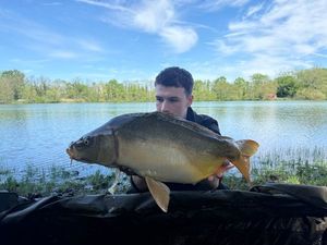 Leather Carp