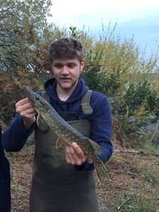 Northern Pike