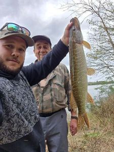 Northern Pike