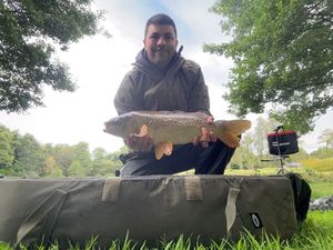 Common Carp