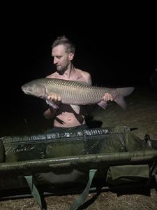 Grass Carp