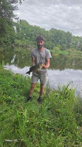 Smallmouth Bass