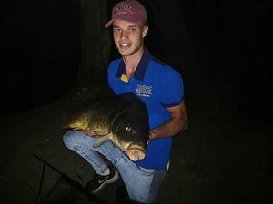 Common Carp