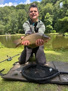 Common Carp