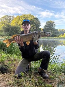 Northern Pike