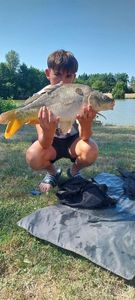Mirror Carp