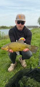 Tench