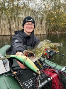Northern Pike
