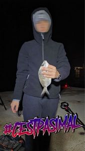 White Seabream