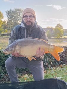 Mirror Carp