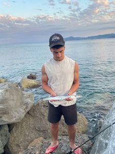Great Barracuda