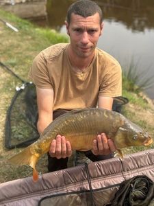 Mirror Carp