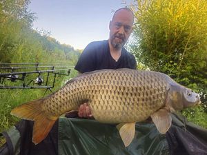 Common Carp