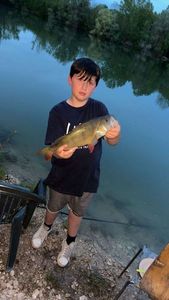 European Perch