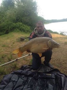 Mirror Carp